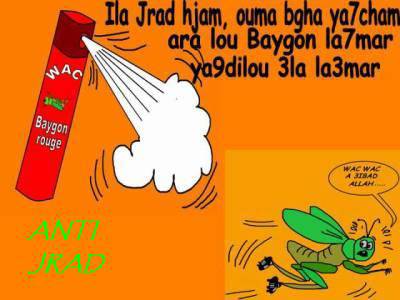 anti jrad